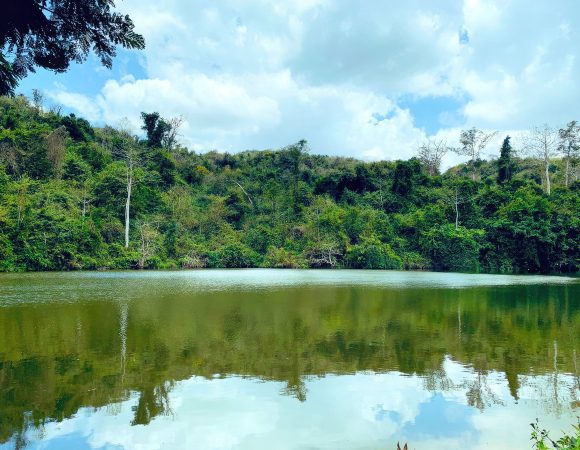 Day trip Dar to Pugu kaziuzimbwi nature forest reserve