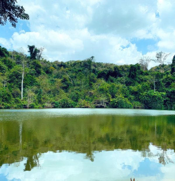 Day trip Dar to Pugu kaziuzimbwi nature forest reserve