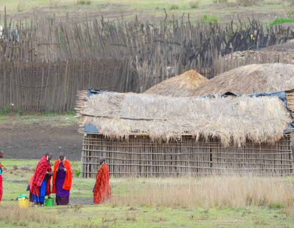 4 Days / 3 Nights Serengeti & Ngorongoro Crater