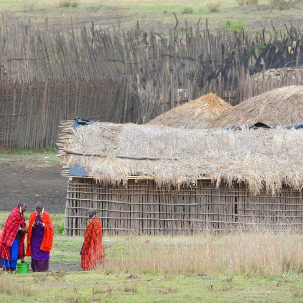 4 Days / 3 Nights Serengeti & Ngorongoro Crater
