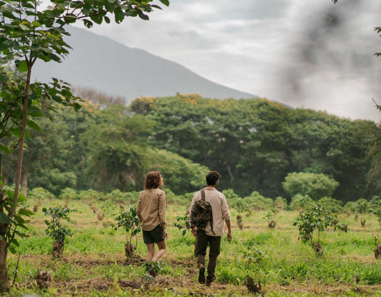 Arusha National Park 