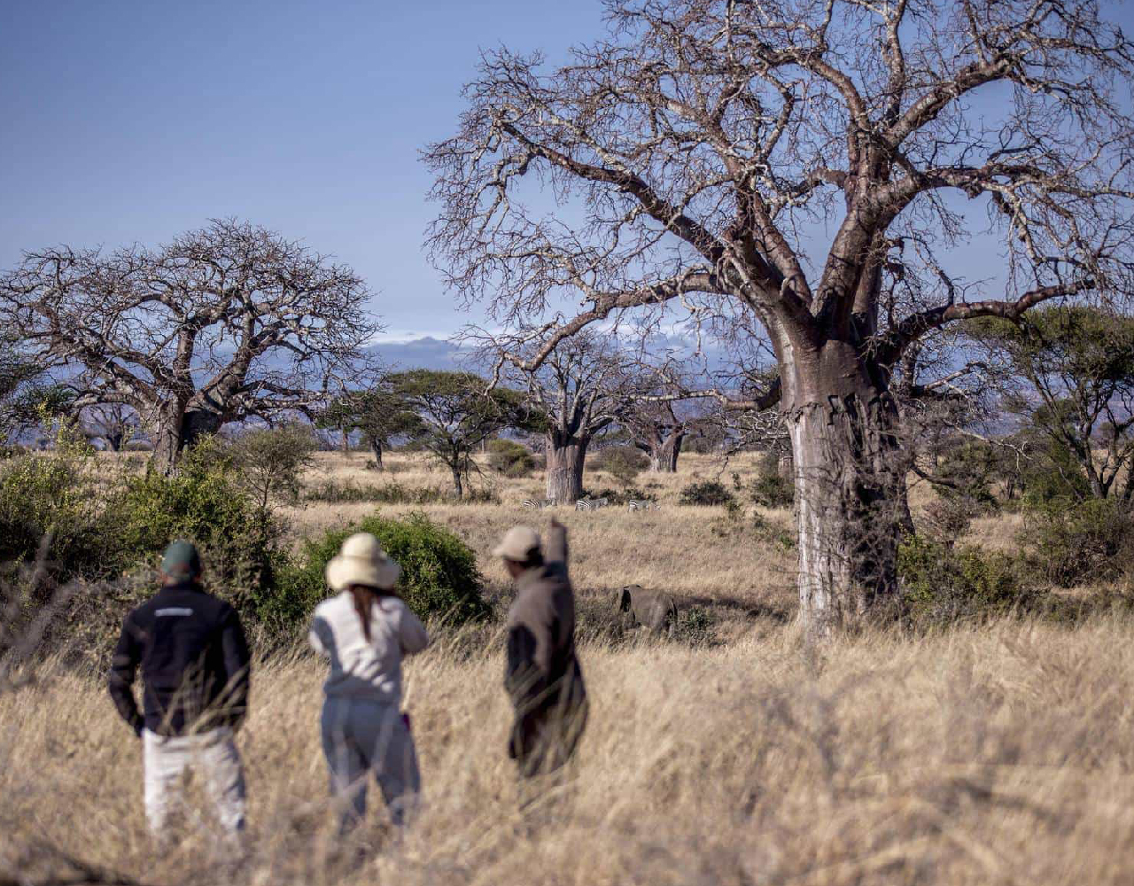 Tarangire National Park