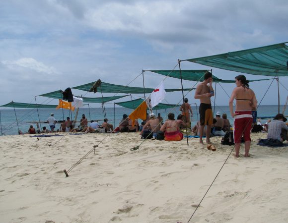 Full day Guided Safari Blue Tour, Snorkeling with Sea food lunch