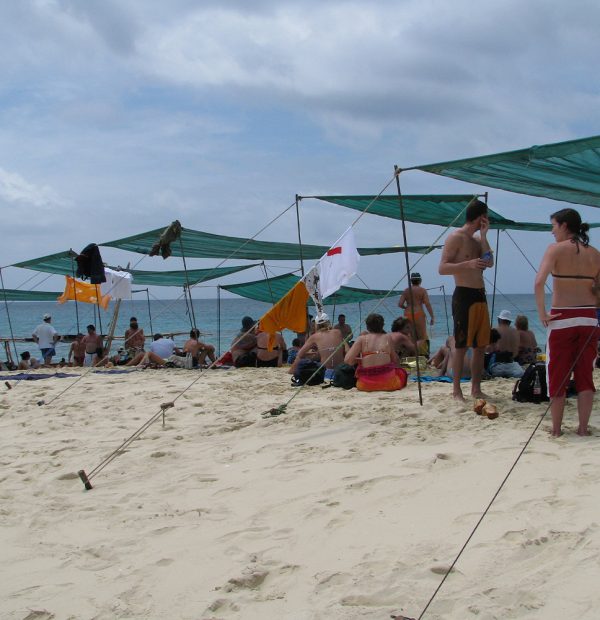Full day Guided Safari Blue Tour, Snorkeling with Sea food lunch